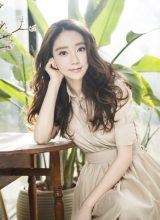 Ван Мэн Ли Ван Мэн Ли