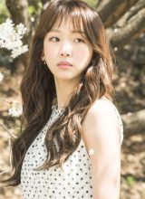 Чжин Ки Чжу