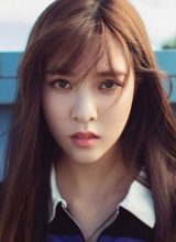 Сун Янь Фэй Сун Янь Фэй