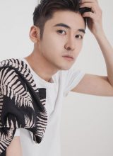 Гао Вэнь Фэн