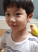 Сон Мин Джэ Сон Мин Джэ