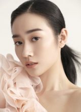 Фань Шуай Ци