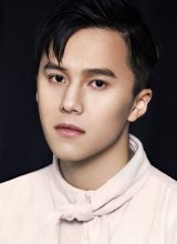 Ван Лэ Фу Ван Лэ Фу