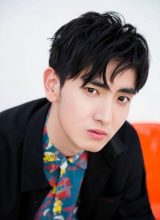 Чэнь Е Линь