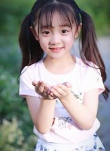 Фэн Сюэ Я Фэн Сюэ Я