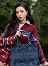 Ху Лянь Синь