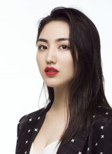 Чэнь Мэй Линь