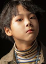 Чжан Шунь Хань