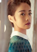 Фан Хуэй Фан Хуэй