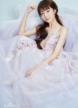 Чжэн Я Вэнь