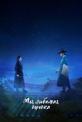 Мой любимый вор Мой любимый вор