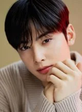 Ча Ын У Ча Ын У