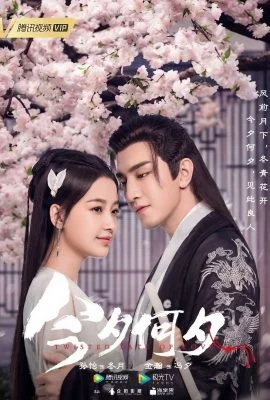 Какая сегодня ночь Какая сегодня ночь