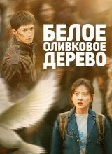 Белое оливковое дерево Белое оливковое дерево